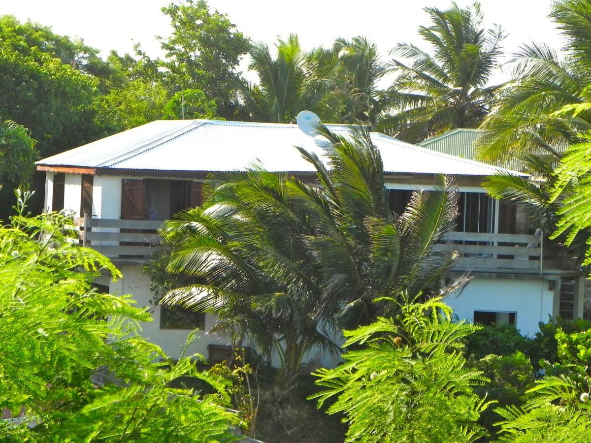 Wild Paradise: Vue Mer Piscine à Débordement Villa *