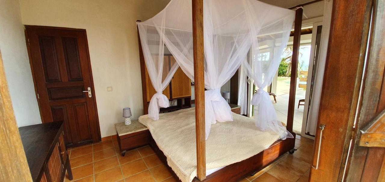 Wild Paradise: Vue Mer Piscine A Debordement *