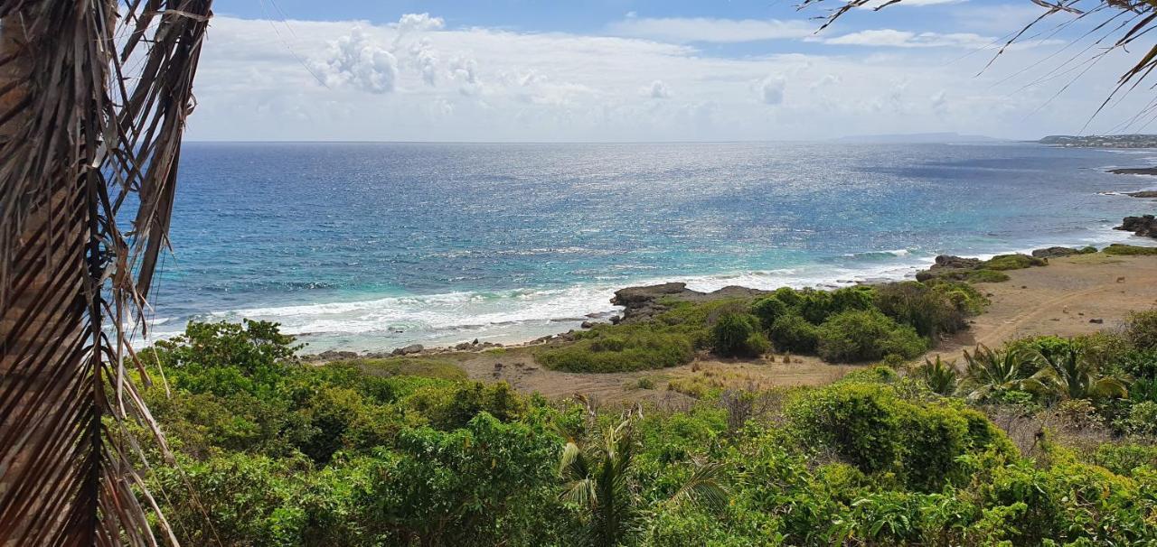 Wild Paradise: Vue Mer Piscine à Débordement Villa